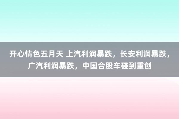 开心情色五月天 上汽利润暴跌，长安利润暴跌，广汽利润暴跌，中国合股车碰到重创
