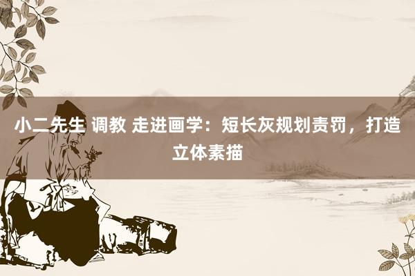 小二先生 调教 走进画学：短长灰规划责罚，打造立体素描