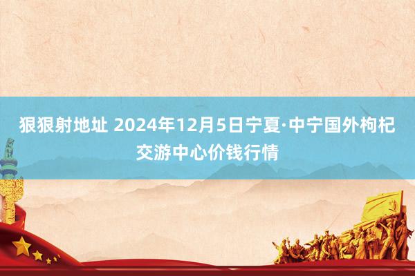 狠狠射地址 2024年12月5日宁夏·中宁国外枸杞交游中心价钱行情