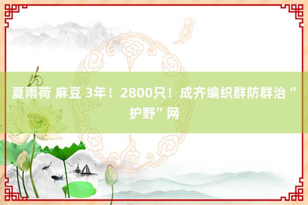 夏雨荷 麻豆 3年！2800只！成齐编织群防群治“护野”网