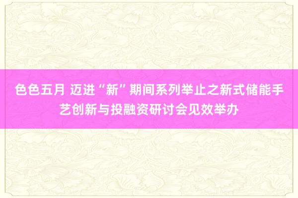 色色五月 迈进“新”期间系列举止之新式储能手艺创新与投融资研讨会见效举办