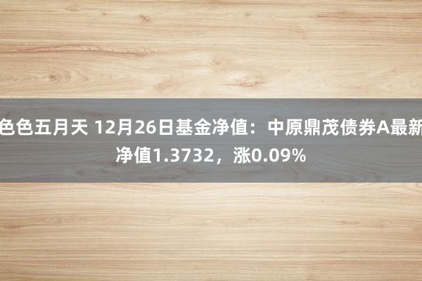 色色五月天 12月26日基金净值：中原鼎茂债券A最新净值1.3732，涨0.09%
