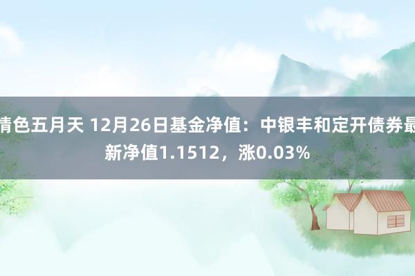 情色五月天 12月26日基金净值：中银丰和定开债券最新净值1.1512，涨0.03%