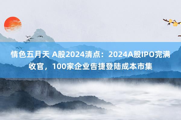 情色五月天 A股2024清点：2024A股IPO完满收官，100家企业告捷登陆成本市集