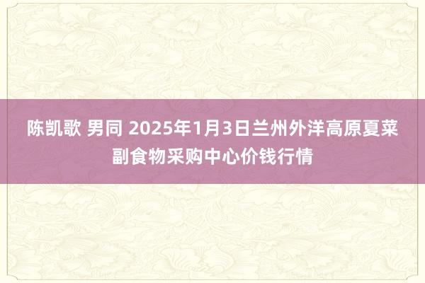 陈凯歌 男同 2025年1月3日兰州外洋高原夏菜副食物采购中心价钱行情