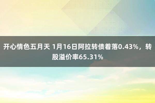 开心情色五月天 1月16日阿拉转债着落0.43%,转股溢价率65.31%