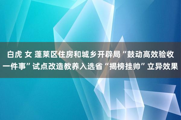 白虎 女 蓬莱区住房和城乡开辟局“鼓动高效验收一件事”试点改造教养入选省“揭榜挂帅”立异效果