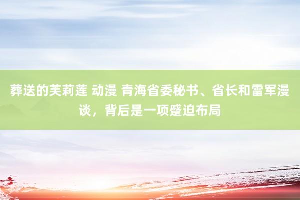 葬送的芙莉莲 动漫 青海省委秘书、省长和雷军漫谈，背后是一项蹙迫布局