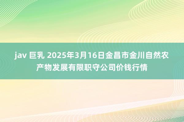 jav 巨乳 2025年3月16日金昌市金川自然农产物发展有限职守公司价钱行情