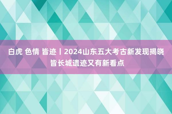 白虎 色情 皆迹丨2024山东五大考古新发现揭晓 皆长城遗迹又有新看点