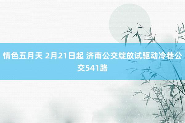 情色五月天 2月21日起 济南公交绽放试驱动冷巷公交541路
