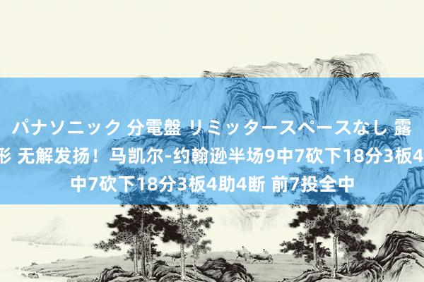 パナソニック 分電盤 リミッタースペースなし 露出・半埋込両用形 无解发扬！马凯尔-约翰逊半场9中7砍下18分3板4助4断 前7投全中