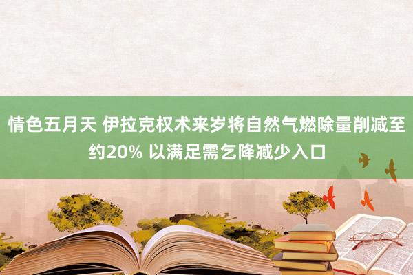 情色五月天 伊拉克权术来岁将自然气燃除量削减至约20% 以满足需乞降减少入口