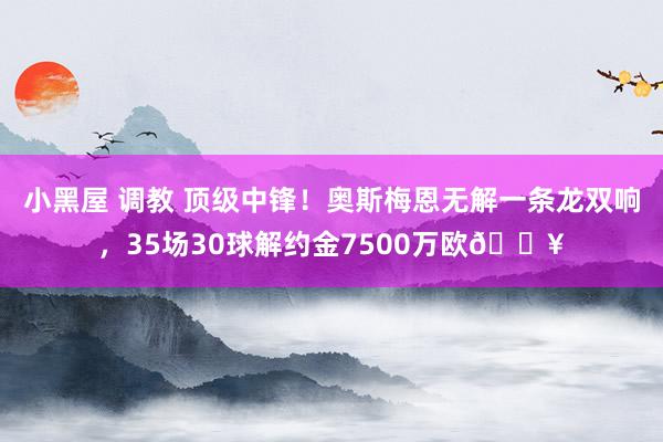 小黑屋 调教 顶级中锋！奥斯梅恩无解一条龙双响，35场30球解约金7500万欧🔥