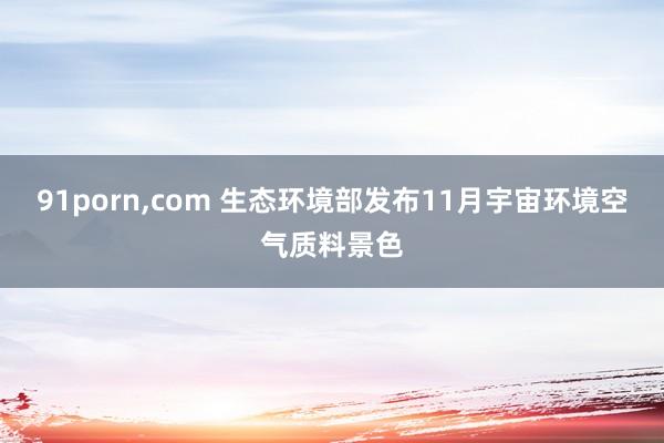 91porn，com 生态环境部发布11月宇宙环境空气质料景色