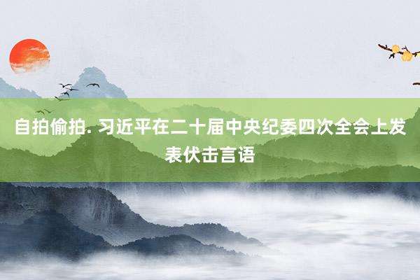 自拍偷拍. 习近平在二十届中央纪委四次全会上发表伏击言语