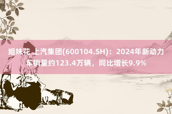 姐妹花 上汽集团(600104.SH)：2024年新动力车销量约123.4万辆，同比增长9.9%