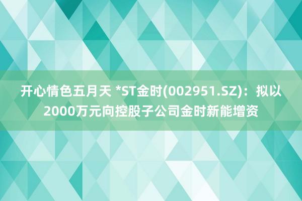 开心情色五月天 *ST金时(002951.SZ)：拟以2000万元向控股子公司金时新能增资
