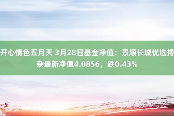 开心情色五月天 3月28日基金净值：景顺长城优选搀杂最新净值4.0856，跌0.43%