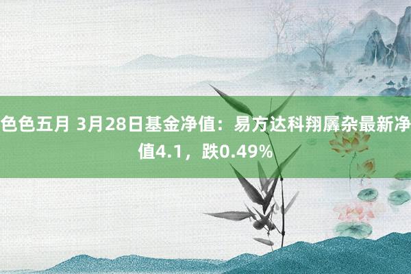 色色五月 3月28日基金净值：易方达科翔羼杂最新净值4.1，跌0.49%