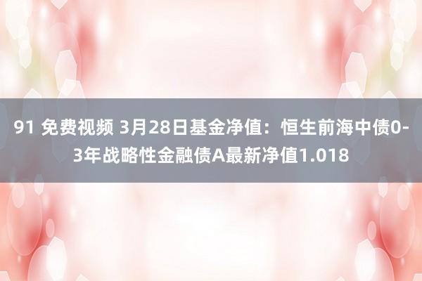 91 免费视频 3月28日基金净值：恒生前海中债0-3年战略性金融债A最新净值1.018