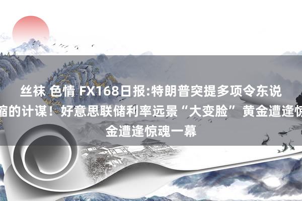 丝袜 色情 FX168日报:特朗普突提多项令东说念主畏缩的计谋！好意思联储利率远景“大变脸” 黄金遭逢惊魂一幕