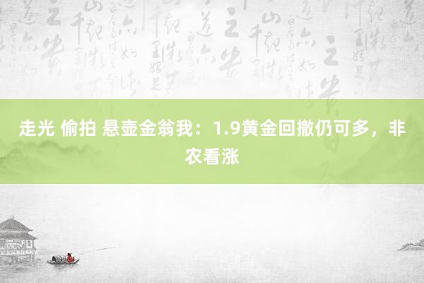 走光 偷拍 悬壶金翁我：1.9黄金回撤仍可多，非农看涨