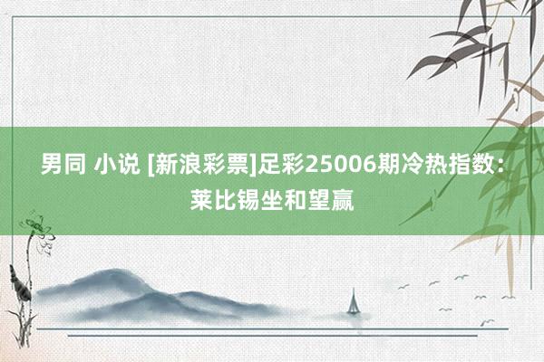 男同 小说 [新浪彩票]足彩25006期冷热指数：莱比锡坐和望赢