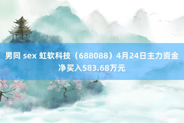 男同 sex 虹软科技（688088）4月24日主力资金净买入583.68万元